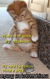 Котоматрица: Уберите от меня это чудовище! Ну чего ты орёшь поем и уйду.