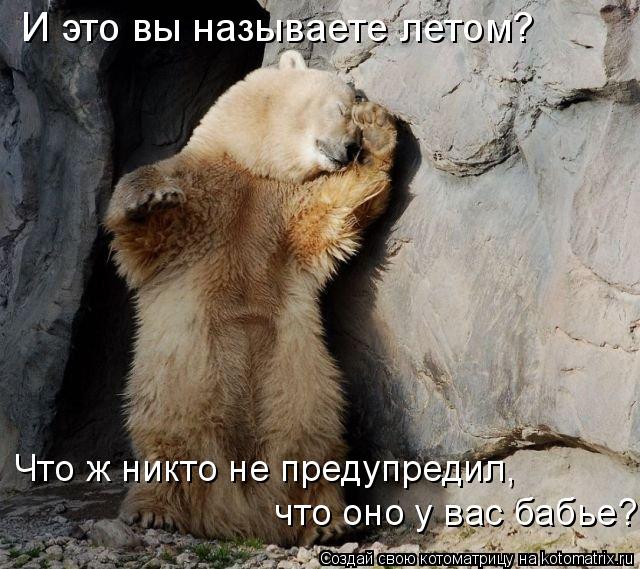 Котоматрица: И это вы называете летом? Что ж никто не предупредил,  что оно у вас бабье?