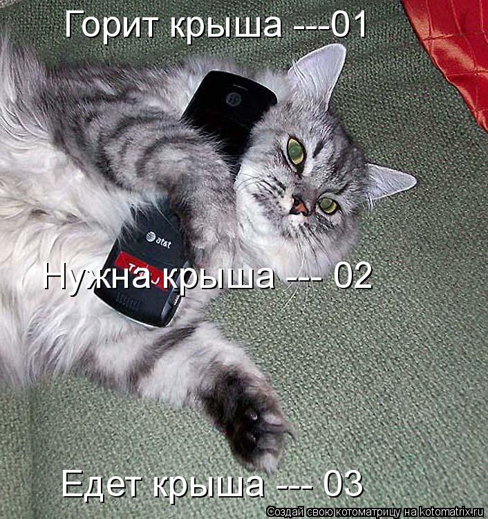 Котоматрица: Горит крыша ---01 Нужна крыша --- 02 Едет крыша --- 03