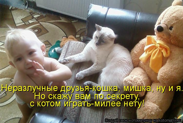 Котоматрица: Неразлучные друзья-кошка, мишка, ну и я. Но скажу вам по секрету, с котом играть-милее нету!