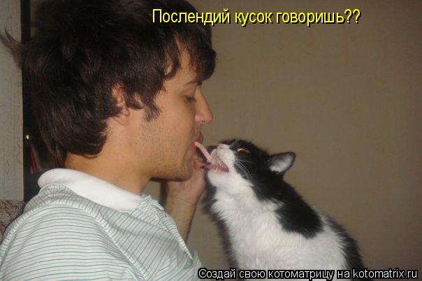 Котоматрица: Послендий кусок говоришь??