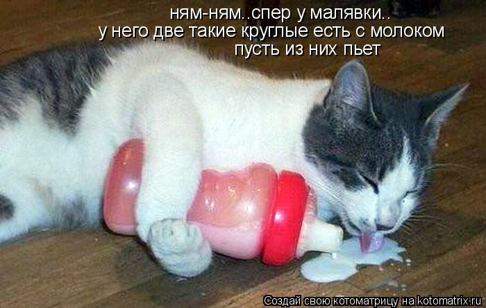 Котоматрица: ням-ням..спер у малявки.. у него две такие круглые есть с молоком пусть из них пьет