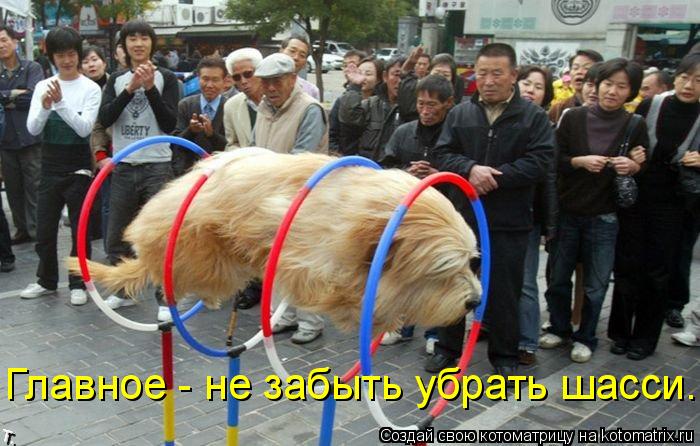 Котоматрица: Главное - не забыть убрать шасси.