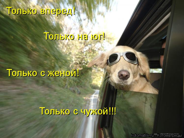 Котоматрица: Только вперед! Только на юг! Только с женой! Только с чужой!!!