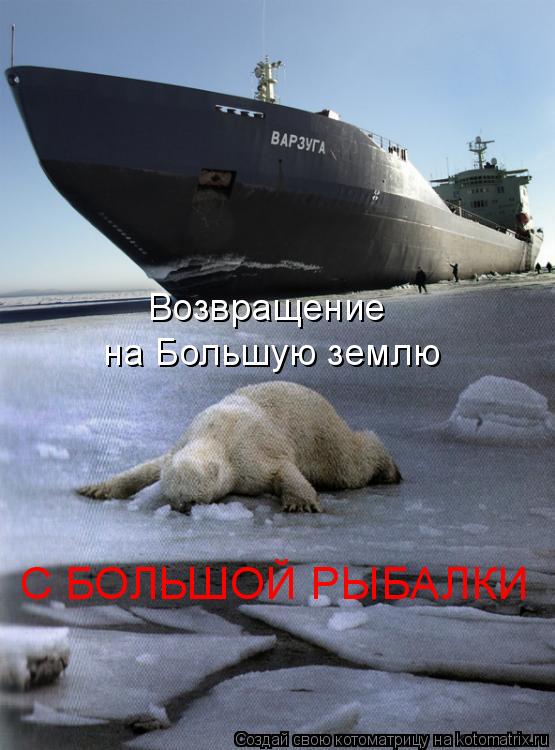 Котоматрица: Возвращение на Большую землю С БОЛЬШОЙ РЫБАЛКИ