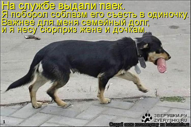 Котоматрица: На службе выдали паек. Я поборол соблазм его съесть в одиночку. Важнее для меня семейный долг, и я несу сюрприз жене и дочкам.