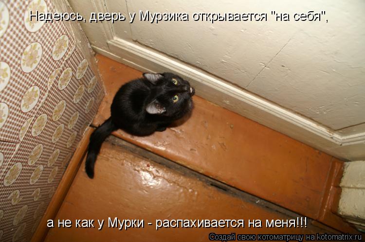 Котоматрица: Надеюсь, дверь у Мурзика открывается "на себя", а не как у Мурки - распахивается на меня!!!