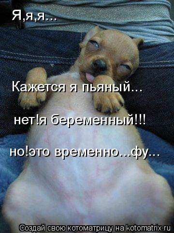 Котоматрица: Я,я,я... Я,я,я... Кажется я пьяный... нет!я беременный!!! но!это временно...фу...