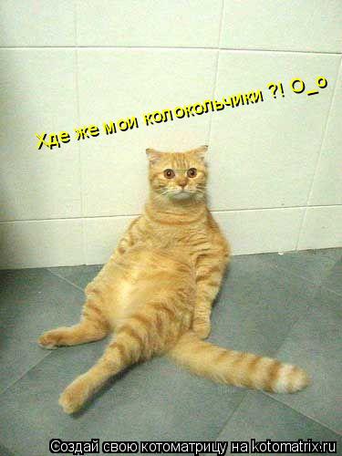 Котоматрица: Хде же мои колокольчики ?! О_о