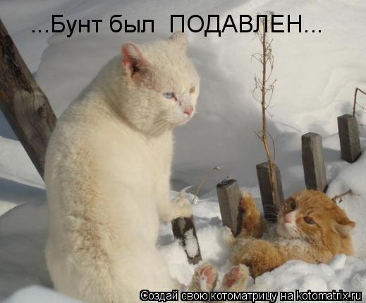 ...Бунт был ПОДАВЛЕН...... Котоматрица: ...Бунт был ПОДАВЛЕН...