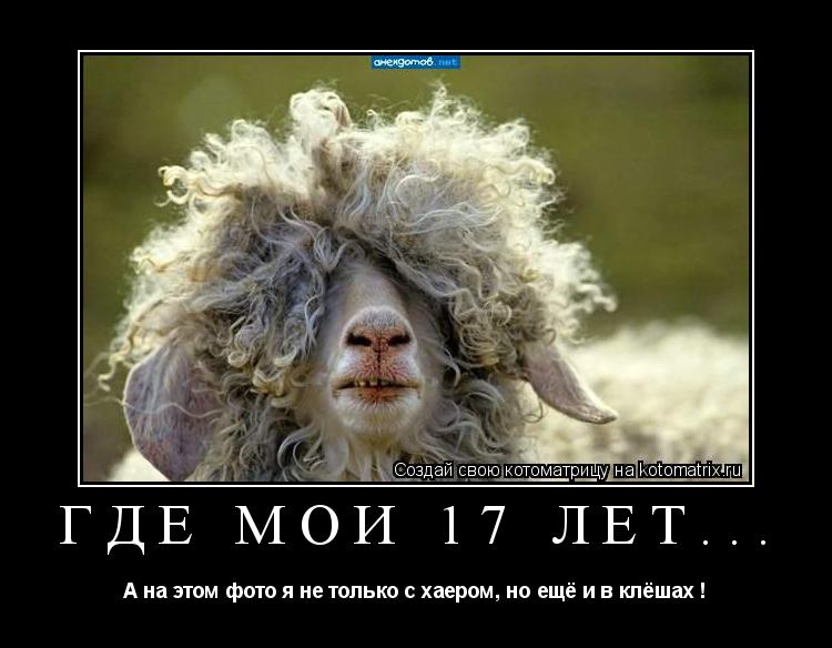 Котоматрица: Где мои 17 лет... А на этом фото я не только с хаером, но ещё и в клёшах !