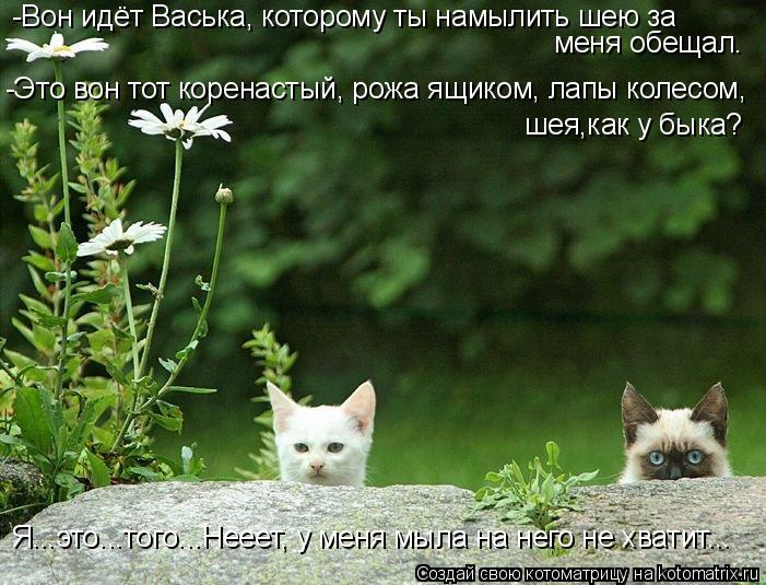 -Вон идёт Васька, которому ты намылить шею за меня обещал. -Это вон тот коренастый, рожа ящиком, лапы... Котоматрица: -Вон идёт Васька, которому ты намылить шею за меня обещал. -Это вон тот коренастый, рожа ящиком, лапы колесом, шея,как у быка? Я...это...того...Нее