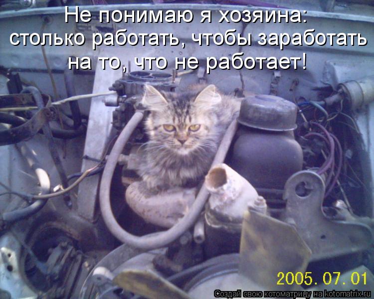 столько работать, чтобы заработать на то, что не работает! Не понимаю я хозяина:... Котоматрица: столько работать, чтобы заработать на то, что не работает! Не понимаю я хозяина: