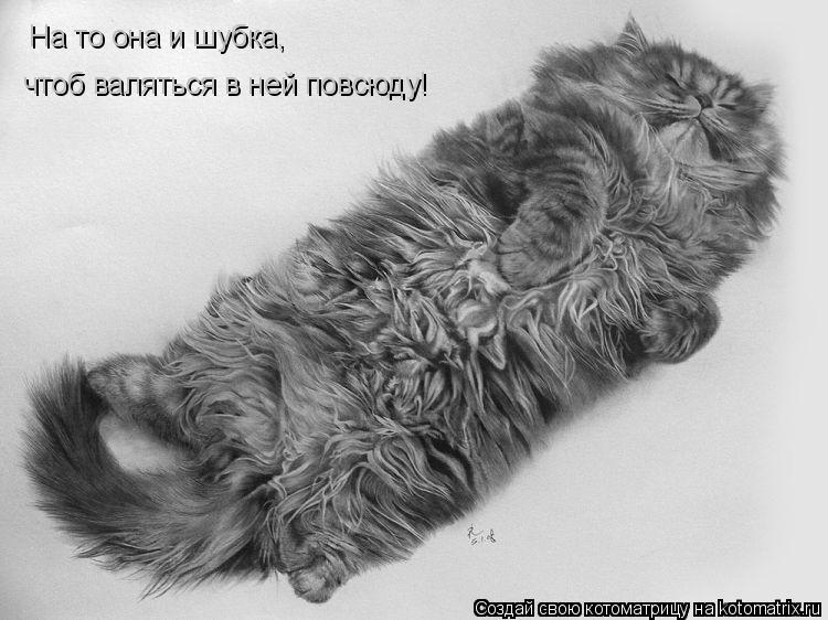 Котоматрица: На то она и шубка, чтоб валяться в ней повсюду!