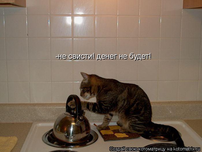 Котоматрица: -не свисти! денег не будет!