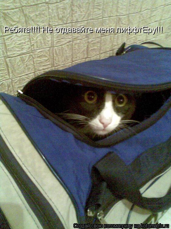 Котоматрица: Ребята!!!! Не отдавайте меня лиффтЕру!!!