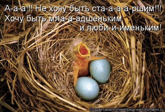 А-а-а!!! Не хочу быть ста-а-а-а-ршим!!! Хочу быть мла-а-адшеньким и люби-и-именьким!... Котоматрица: А-а-а!!! Не хочу быть ста-а-а-а-ршим!!! Хочу быть мла-а-адшеньким и люби-и-именьким!