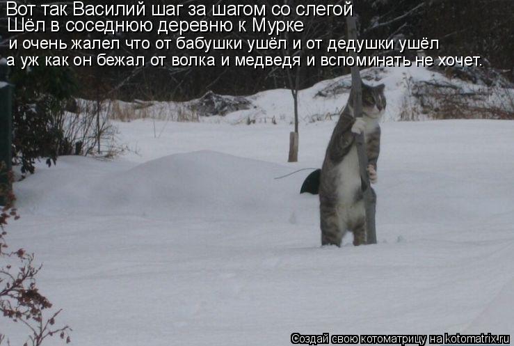 Котоматрица: Вот так Василий шаг за шагом со слегой Шёл в соседнюю деревню к Мурке и очень жалел что от бабушки ушёл и от дедушки ушёл  а уж как он бежал от