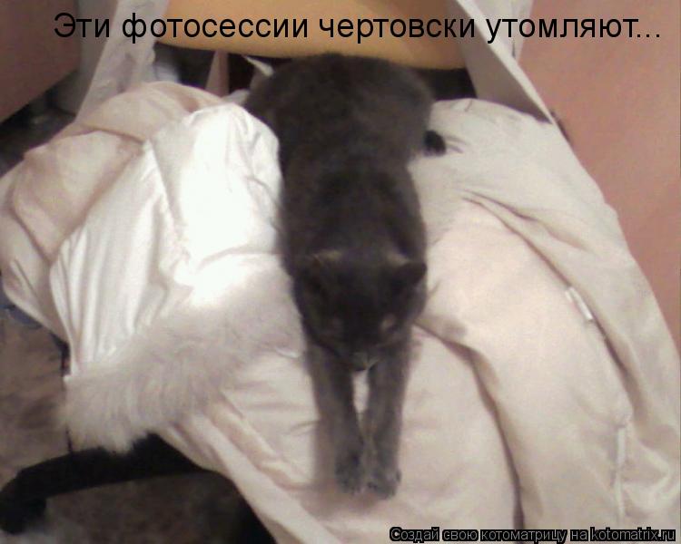 Котоматрица: Эти фотосессии чертовски утомляют...