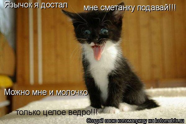 Котоматрица: Язычок я достал мне сметанку подавай!!! Можно мне и молочко только целое ведро!!!