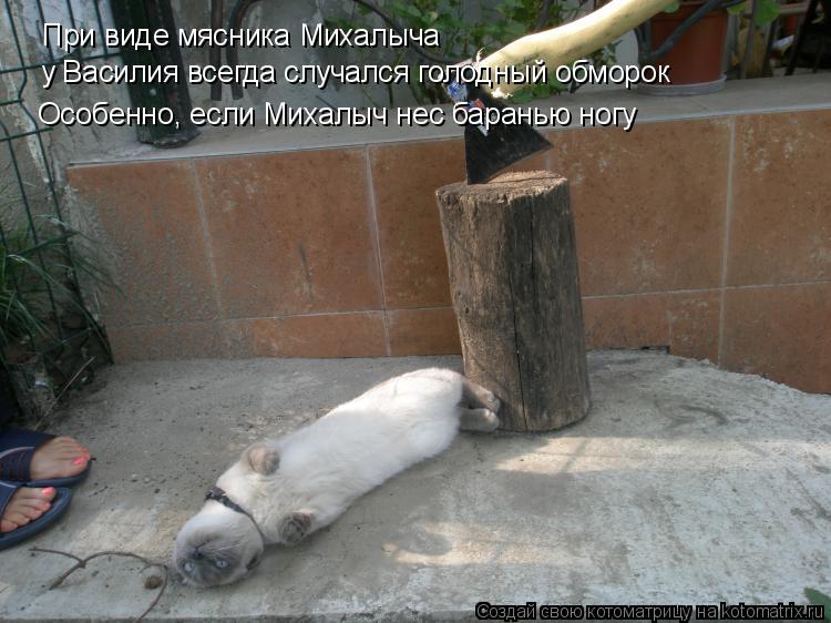 При виде мясника Михалыча у Василия всегда случался голодный обморок Особенно, если Михалыч нес бара... Котоматрица: При виде мясника Михалыча у Василия всегда случался голодный обморок Особенно, если Михалыч нес баранью ногу