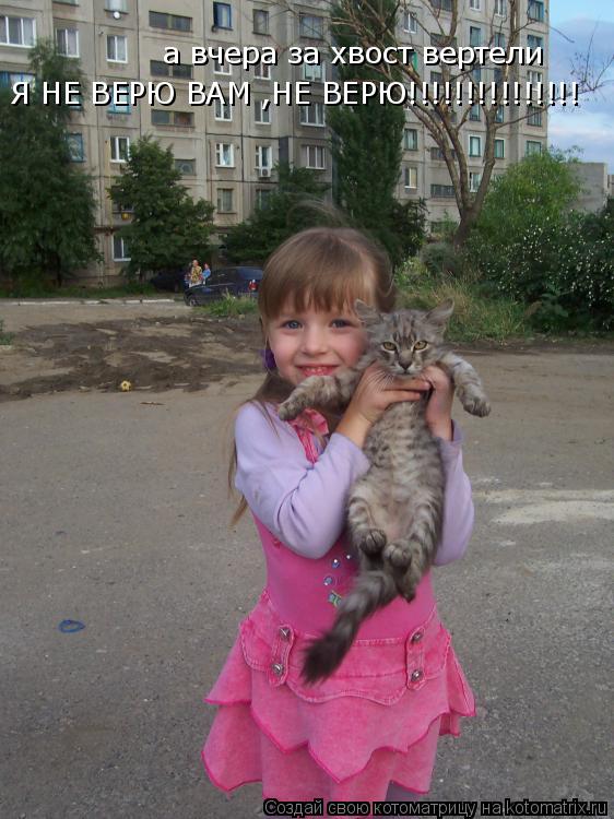 Котоматрица: а вчера за хвост вертели Я НЕ ВЕРЮ ВАМ ,НЕ ВЕРЮ!!!!!!!!!!!!!!!