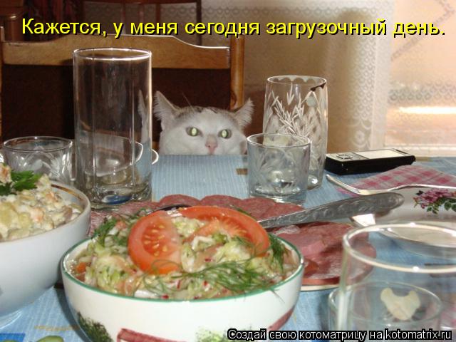 Кажется, у меня сегодня загрузочный день.... Котоматрица: Кажется, у меня сегодня загрузочный день.