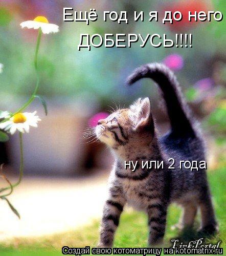 Котоматрица: Ещё год и я до него ДОБЕРУСЬ!!!! ну или 2 года