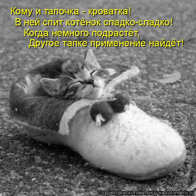 Котоматрица: Кому и тапочка - кроватка! В ней спит котёнок сладко-сладко! Когда немного подрастёт, Другое тапке применение найдёт!