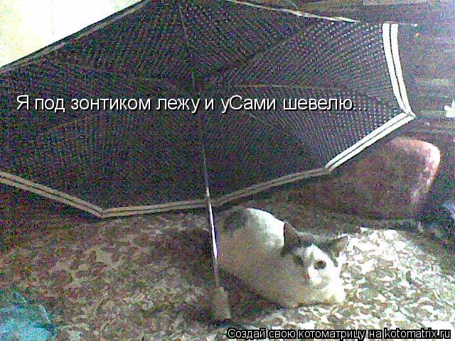 Котоматрица: Я под зонтиком лежу Я под зонтиком лежу и уСами шевелю...