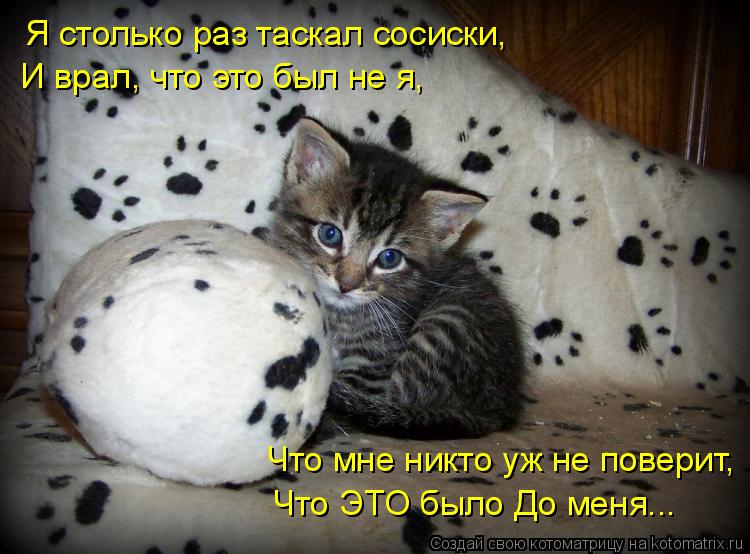 Я столько раз таскал сосиски, И врал, что это был не я, Что мне никто уж не поверит, Что ЭТО было ... Котоматрица: Я столько раз таскал сосиски, И врал, что это был не я, Что мне никто уж не поверит, Что ЭТО было До меня...