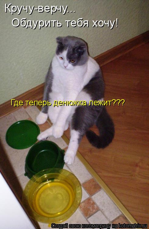 Котоматрица: Обдурить тебя хочу! Кручу-верчу... Где теперь денюжка лежит???