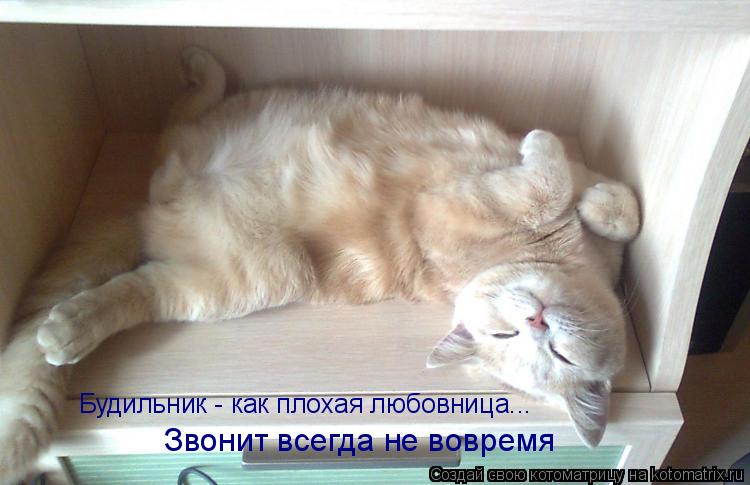 Котоматрица: Будильник - как плохая любовница...  Звонит всегда не вовремя