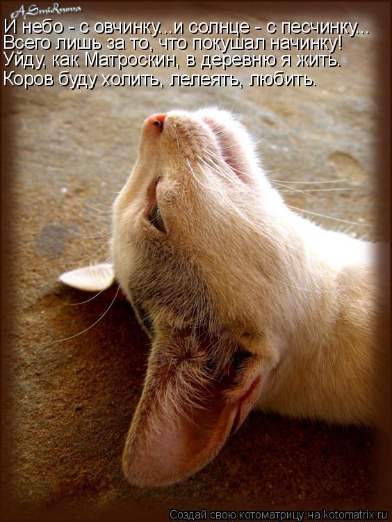 Коров буду холить, лелеять, любить. И небо - с овчинку...и солнце - с песчинку... Всего лишь за то, ч... Котоматрица: Коров буду холить, лелеять, любить. И небо - с овчинку...и солнце - с песчинку... Всего лишь за то, что покушал начинку! Уйду, как Матроскин, в дер