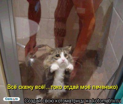 Всё скажу всё!...токо отдай моё печенько)... Котоматрица: Всё скажу всё!...токо отдай моё печенько)