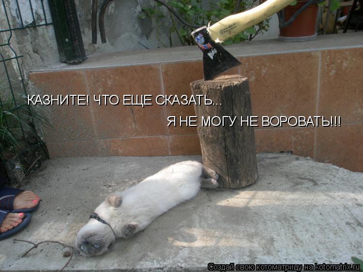 КАЗНИТЕ! ЧТО ЕЩЕ СКАЗАТЬ... Я НЕ МОГУ НЕ ВОРОВАТЬ!!!... Котоматрица: КАЗНИТЕ! ЧТО ЕЩЕ СКАЗАТЬ... Я НЕ МОГУ НЕ ВОРОВАТЬ!!!