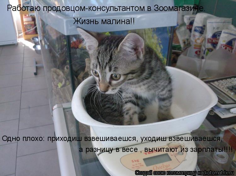 Работаю продовцом-консультантом в Зоомагазине. Одно плохо: приходиш взвешиваешся, уходиш взвешиваешся... Котоматрица: Работаю продовцом-консультантом в Зоомагазине. Одно плохо: приходиш взвешиваешся, уходиш взвешиваешся, а разницу в весе , вычитают из зарп