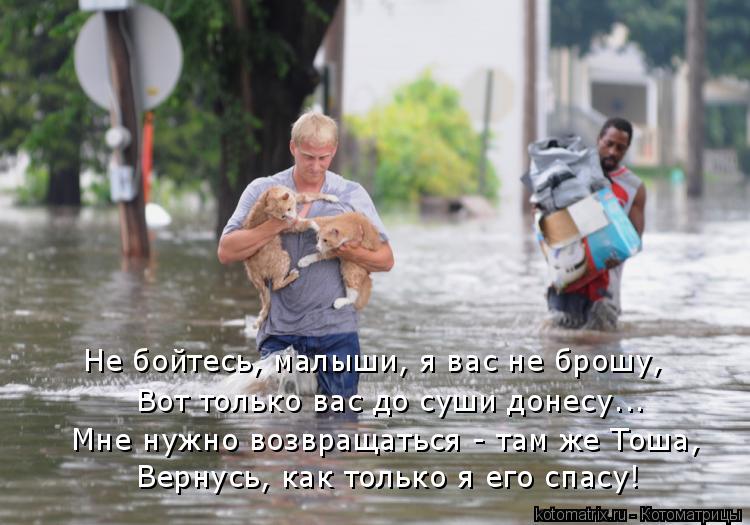 Не бойтесь, малыши, я вас не брошу, Вот только вас до суши донесу... Мне нужно возвращаться - там же... Котоматрица: Не бойтесь, малыши, я вас не брошу, Вот только вас до суши донесу... Мне нужно возвращаться - там же Тоша, Вернусь, как только я его спасу!
