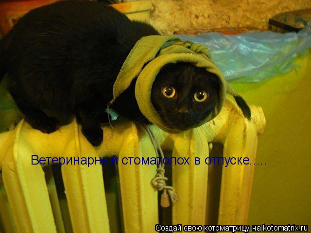 Ветеринарный стоматолох в отпуске........ Котоматрица: Ветеринарный стоматолох в отпуске.....