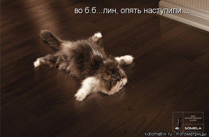 Котоматрица: во б.б...лин, опять наступили....