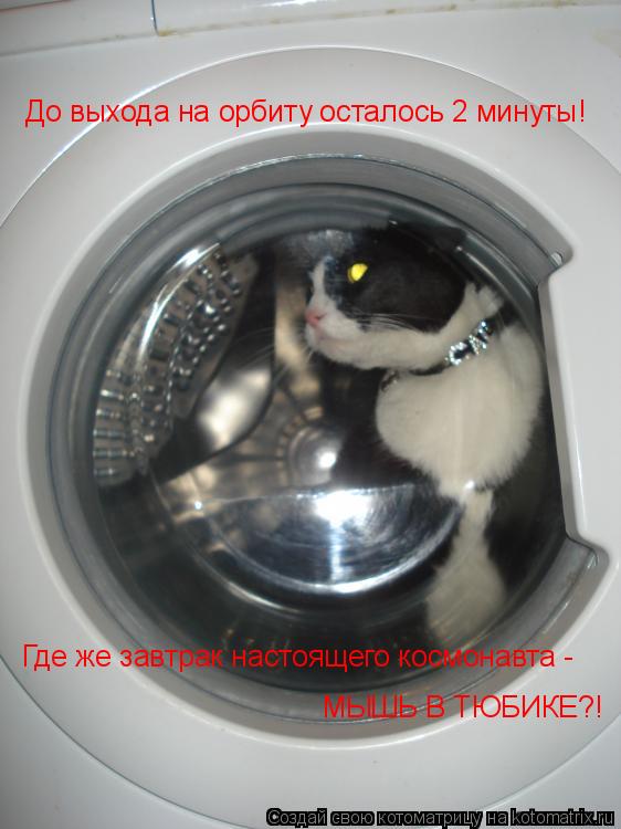Котоматрица: До выхода на орбиту осталось 2 минуты! Где же завтрак настоящего космонавта -  МЫШЬ В ТЮБИКЕ?!