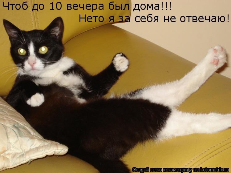 Котоматрица: Чтоб до 10 вечера был дома!!!  Нето я за себя не отвечаю!