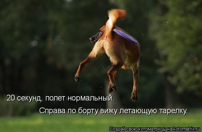 Котоматрица: 20 секунд, полет нормальный. Справа по борту вижу летающую тарелку.