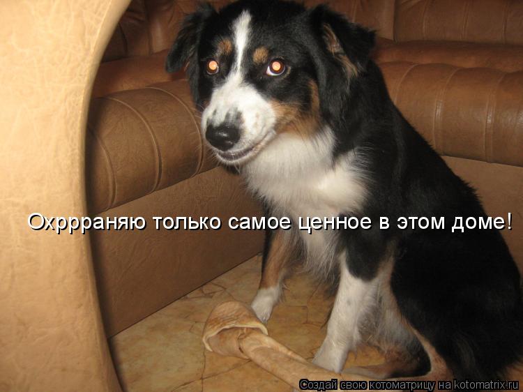 Котоматрица: Охррраняю только самое ценное в этом доме!