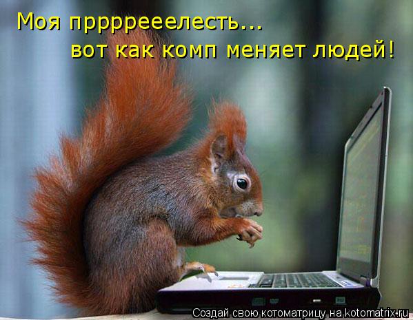 Котоматрица: Моя пррррееелесть... вот как комп меняет людей!