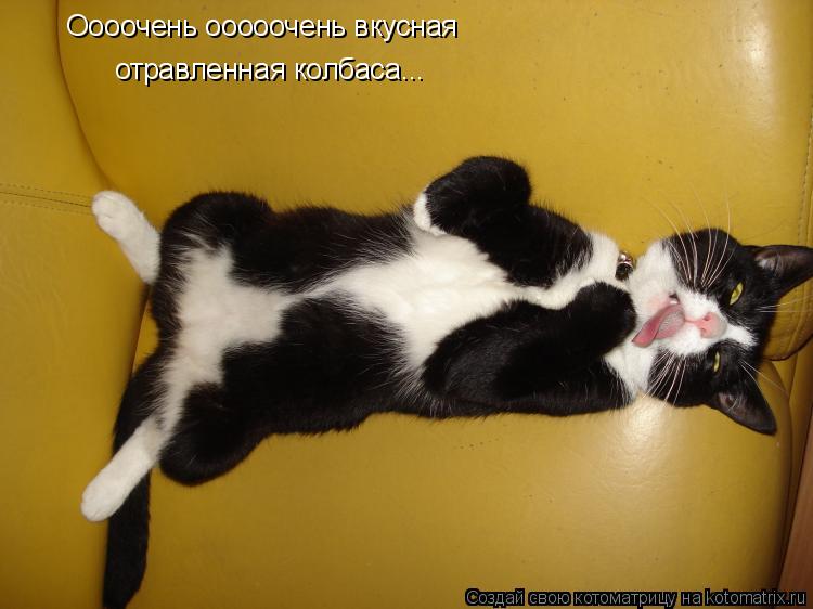 Котоматрица: Оооочень ооооочень вкусная отравленная колбаса...