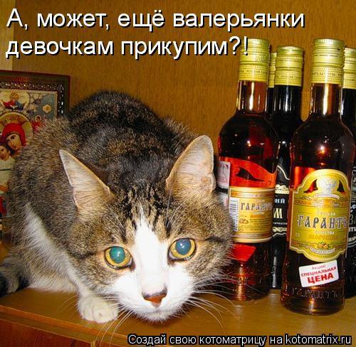 Котоматрица: А, может, ещё валерьянки девочкам прикупим?! девочкам прикупим?!