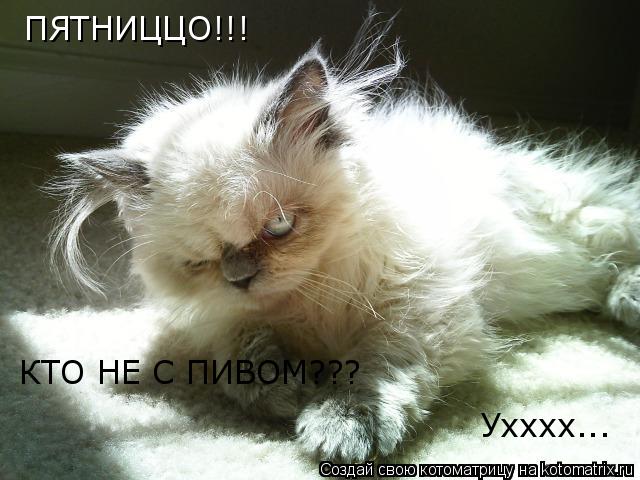Котоматрица: ПЯТНИЦЦО!!! КТО НЕ С ПИВОМ??? Ухххх...