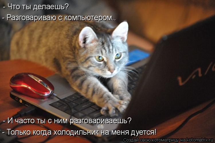 Котоматрица: - Что ты делаешь? - Разговариваю с компьютером.. - И часто ты с ним разговариваешь? - Только когда холодильник на меня дуется!