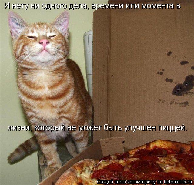 Котоматрица: И нету ни одного дела, времени или момента в жизни, который не может быть улучшен пиццей.